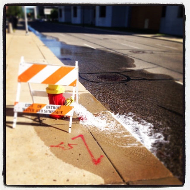 Data, People, and Water: the need for people-centered innovation in&nbsp;Detroit