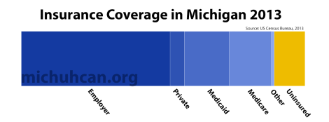 Data: Michigan Insurance Types&nbsp;2013